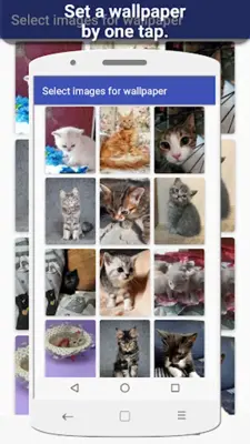 Pets Wallpaper-7 android App screenshot 16